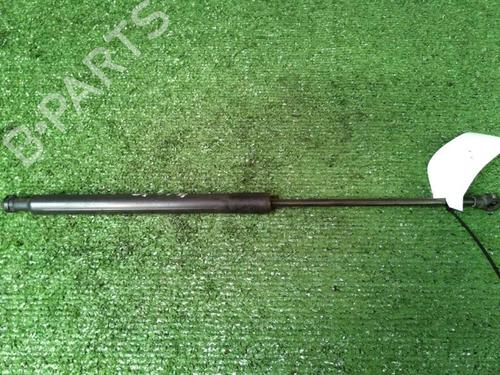 tailgate-lift-support-citroen-c3-ii-sc_-2009-30073596 main image