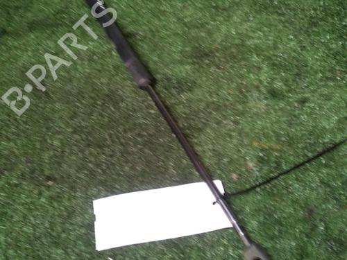 Tailgate lift support FORD FIESTA VI (CB1, CCN) 1.4 TDCi | BP17157115C138 