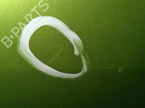 Left front door PEUGEOT 1007 (KM_) 1.4 HDi | BP30076553C2