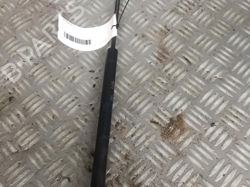 Used Tailgate lift support CITROËN C2 (JM_) 1.4 HDi (68 hp) 17162708