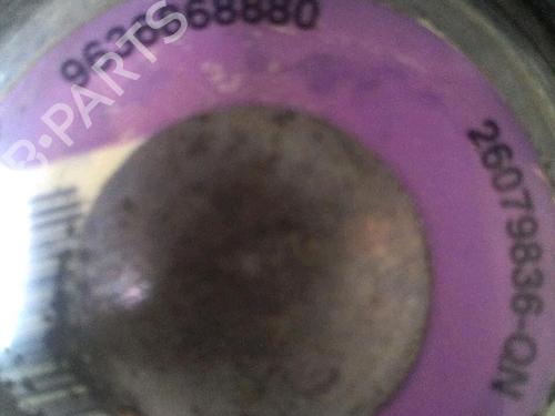 Steering pump PEUGEOT 206 Hatchback (2A/C) 1.4 i | BP30064787M99 