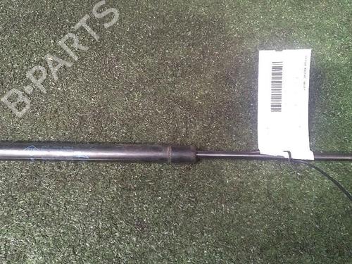 Gasdæmper bagklap RENAULT MEGANE II (BM0/1_, CM0/1_) 1.9 dCi (BM0G, CM0G) (120 hp) 30073661