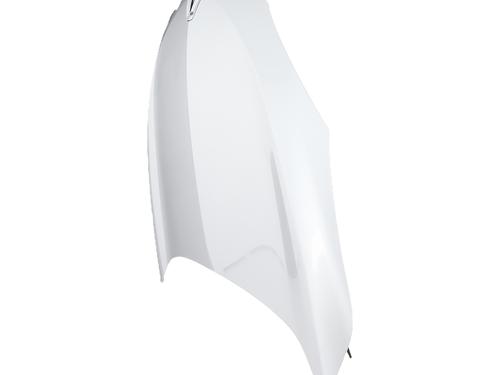 hood-renault-megane-iii-hatchback-bz01_-b3_-2008-34192368 main image