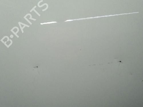 Used Left rear door RENAULT MEGANE III Hatchback (BZ0/1_, B3_) 1.5 dCi (BZ09, BZ0D, BZ1W, BZ29, BZ14) (110 hp) 30068074