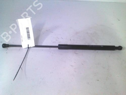 tailgate-lift-support-citroen-c3-ii-sc_-2009-29952129 main image