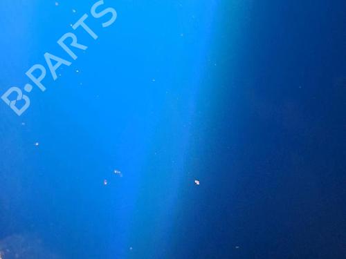 Hood RENAULT TWINGO I (C06_) 1.2 16V (C06C, C06D, C06K) | BP30077157C1 