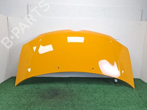 Used Hood RENAULT TWINGO III (BCM_, BCA_) 1.0 SCe 70 (BCMB) (69 hp) 25435751