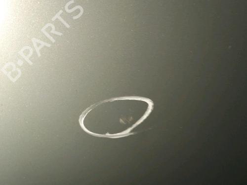 Left front door CITROËN C3 I (FC_, FN_) 1.4 i | BP22360627C2 