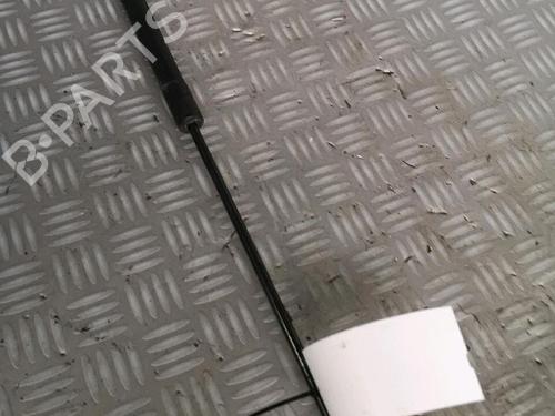 Gassdemper Bakluke DACIA LOGAN MCV II TCe 90 (K8M1, K8MA, K8AC) | BP30072516C138