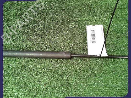 Tailgate lift support RENAULT CLIO II (BB_, CB_) 1.5 dCi (B/CB3M) | BP30074140C138