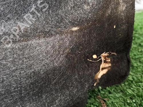 Rear parcel shelf PEUGEOT 206+ (2L_, 2M_) 1.4 i | BP29953038C85 - Image 4