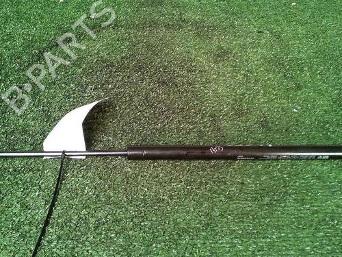 Tailgate lift support RENAULT SCÉNIC II (JM0/1_) 1.5 dCi (JM1E, JM16) | BP30073820C138