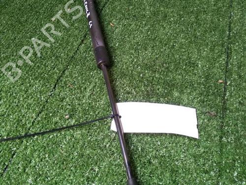 Tailgate lift support RENAULT SCÉNIC III (JZ0/1_) 1.9 dCi (JZ0J, JZ1J, JZ1K, JZ1S) | BP30072706C138