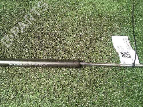 Used Tailgate lift support RENAULT CLIO III (BR0/1, CR0/1) 1.6 16V (BR05, BR0B, BR0Y, BR15, BR1J, BR1M, BR1Y, CR0B,... (112 hp) 29952641