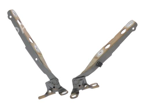 hingedoor-check-strap-citroen-c4-picasso-ii-2013-32290616 main image