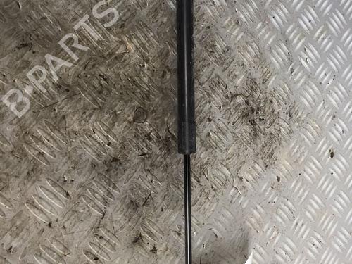 Used Tailgate lift support RENAULT CLIO IV (BH_) [2012-2021]  30072508