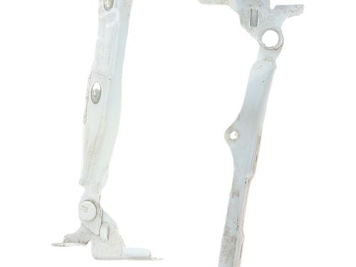 hingedoor-check-strap-citroen-c3-ii-sc_-2009-36096337 main image
