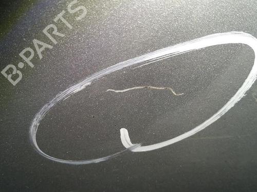 Left rear door SUZUKI IGNIS II (MH) 1.3 (RM413) | BP30074238C4 