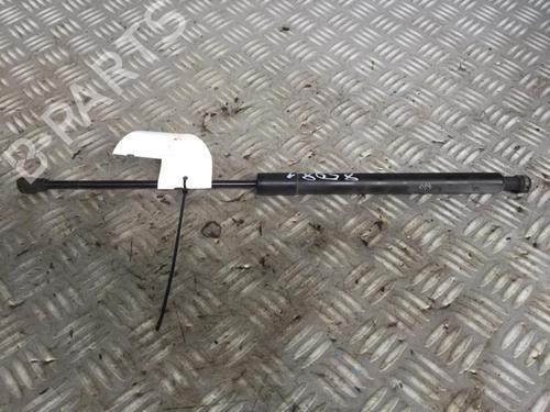 tailgate-lift-support-citroen-c3-ii-sc_-2009-29951250 main image