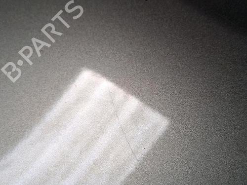 Left front fenders RENAULT SCÉNIC III (JZ0/1_) 1.5 dCi | BP30076440C41