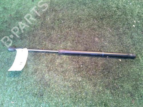 Used Tailgate lift support Tailgate lift support RENAULT SCÉNIC II (JM0/1_) 1.5 dCi (JM1E, JM16) (106 hp) 30073294 30073294