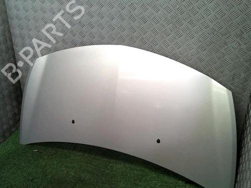 Hood RENAULT CLIO III (BR0/1, CR0/1) 1.5 dCi (BR17, CR17) | BP30076396C1