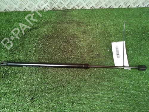 Used Tailgate lift support RENAULT SCÉNIC II (JM0/1_) 1.5 dCi (JM1E, JM16) (106 hp) 17160460