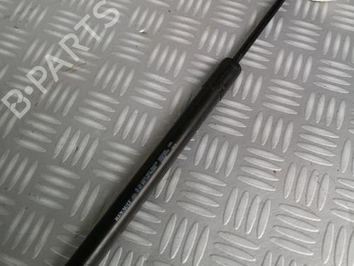 Tailgate lift support DACIA SANDERO II TCe 90 (B8M1, B8MA, B8AC) | BP30074338C138