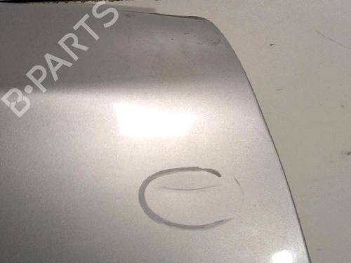 Used Right tailgate RENAULT KANGOO (KC0/1_) 1.2 16V (KC05, KC06, KC03, KC0T, KC0W, KC1D) (75 hp) 30072190