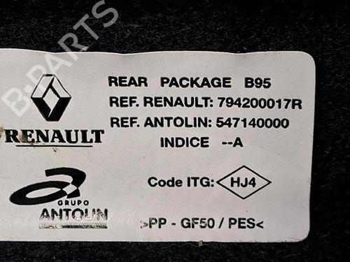Hattehylde RENAULT MEGANE III Hatchback (BZ0/1_, B3_) 1.5 dCi | BP30076688C85 