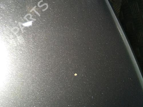 Hood VW NEW BEETLE Convertible (1Y7) 1.9 TDI | BP30063600C1