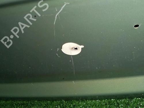 Tailgate RENAULT CLIO II (BB_, CB_) 1.5 dCi (B/CB08) | BP29947148C6