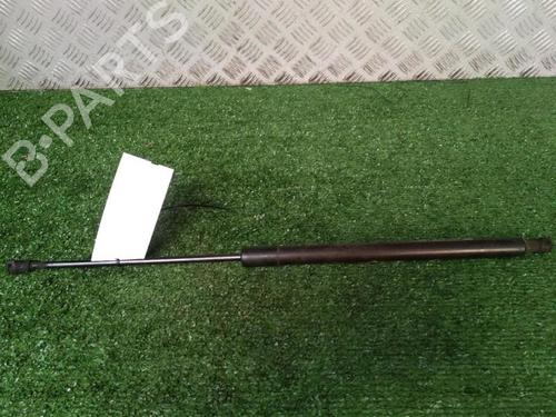 Tailgate lift support CITROËN C3 Picasso (SH_) 1.6 BlueHDi 100 | BP29951670C138 