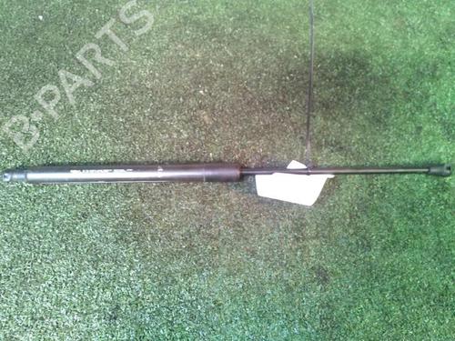 tailgate-lift-support-citroen-c3-ii-sc_-2009-30073771 main image