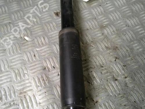 Left rear shock absorber CITROËN C3 III (SX) 1.2 THP 110 (SXHNPS, SXHNZT, SXHNZ6) | BP30070608M18 