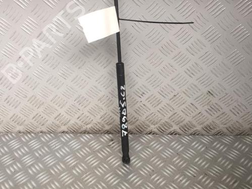 Used Tailgate lift support Tailgate lift support CITROËN C2 (JM_) [2003-2017] 30069032 30069032