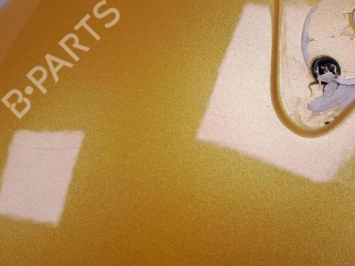 Left front fenders RENAULT MEGANE II (BM0/1_, CM0/1_) 2.0 Renault Sport | BP30064023C41 