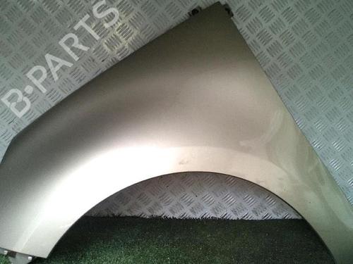 Left front fenders RENAULT SCÉNIC III (JZ0/1_) 1.5 dCi | BP30076440C41