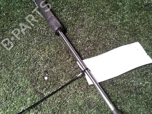 Tailgate lift support RENAULT CLIO III (BR0/1, CR0/1) 1.5 dCi | BP29951226C138 