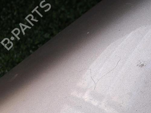 Left front fenders RENAULT MEGANE II (BM0/1_, CM0/1_) 1.5 dCi (BM1F, CM1F) | BP30076770C41