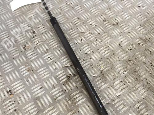 Used Tailgate lift support RENAULT GRAND SCÉNIC III (JZ0/1_) 1.9 dCi (JZ0J, JZ0N, JZ1K, JZ1S) (131 hp) 30072523