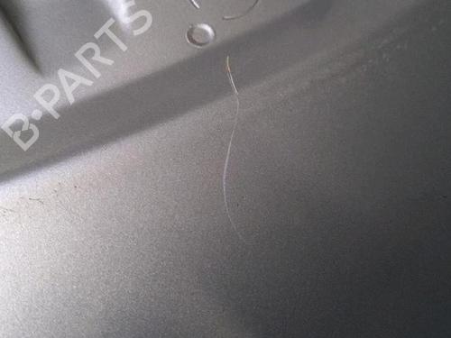 Left front fenders MINI MINI (R50, R53) Cooper | BP29952985C41 