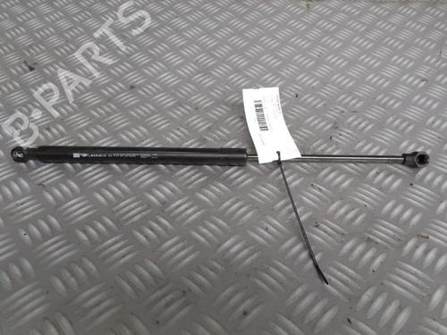 tailgate-lift-support-renault-clio-iv-bh_-2012-2013-2014-2015-2016-2017-2018-2019-2020-2021-29951297 main image