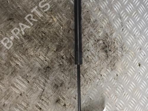Tailgate lift support RENAULT CLIO IV (BH_) 1.2 16V (BHA1, BHAK, BHMG, BHMK) | BP17162617C138 