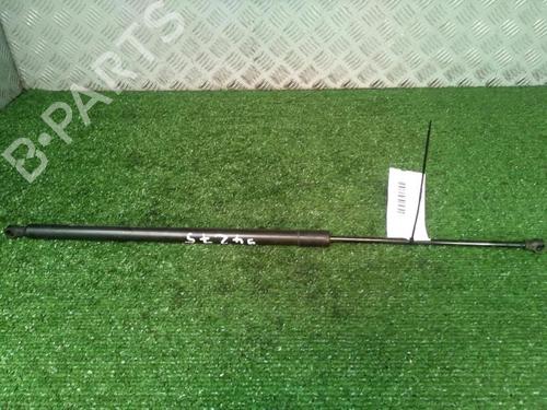 Used Tailgate lift support Tailgate lift support RENAULT GRAND SCÉNIC III (JZ0/1_) 1.9 dCi (JZ0J, JZ0N, JZ1K, JZ1S) (131 hp) 30073556 30073556