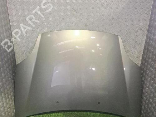 Used Hood FIAT BRAVO II (198_) 1.6 D Multijet (198AXH1B) (105 hp) 30077289