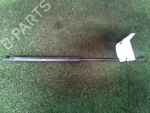 tailgate-lift-support-citroen-c3-ii-sc_-2009-29951718 main image
