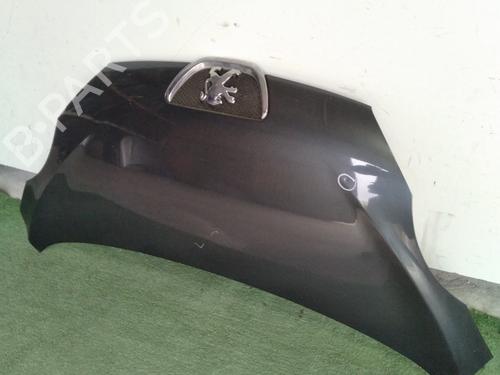 Panser Panser PEUGEOT 107 (PM_, PN_) 1.4 HDi (54 hp) 30931543 30931543