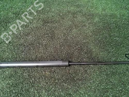 Tailgate lift support PEUGEOT 207 (WA_, WC_) 1.6 HDi | BP30076222C138 