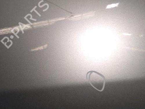 Left front door RENAULT ESPACE IV (JK0/1_) 2.0 dCi (JK01, JK02, JK1J, JK1K, JK1H) | BP30073395C2 